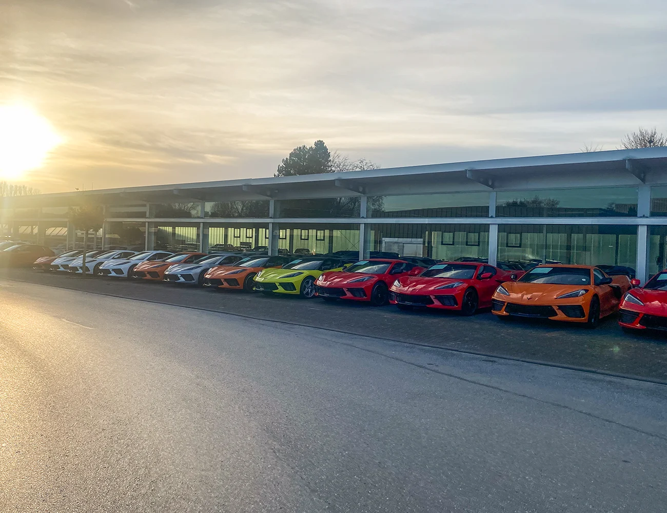 Corvette c8 fuhrpark reihe sonnenaufgang